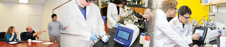 classroom with students, lab instruction scene