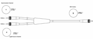 Example of a Bifurcated Fiber Assembly