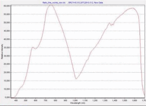 Spectrum of a Tungsten Halogen Lamp from 350 – 1700 nm